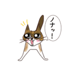 スノーシュー猫（個別スタンプ：14）