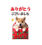 BIGでゆる可愛い❤️冬しば犬❤️よく使う（個別スタンプ：8）