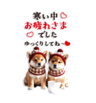 BIGでゆる可愛い❤️冬しば犬❤️よく使う（個別スタンプ：10）