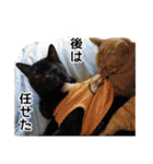 ねこ・うさぎ（個別スタンプ：27）