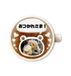 杏子ちゃんスタンプ3（個別スタンプ：7）