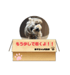 杏子ちゃんスタンプ3（個別スタンプ：10）
