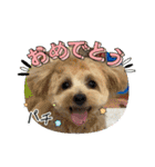 杏子ちゃんスタンプ3（個別スタンプ：14）