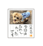 杏子ちゃんスタンプ3（個別スタンプ：18）