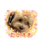 杏子ちゃんスタンプ3（個別スタンプ：19）