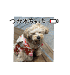 杏子ちゃんスタンプ3（個別スタンプ：21）