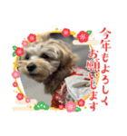 杏子ちゃんスタンプ3（個別スタンプ：39）