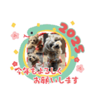 杏子ちゃんスタンプ3（個別スタンプ：40）