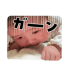 てんちゃんスタ2（個別スタンプ：11）