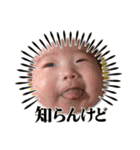 てんちゃんスタ2（個別スタンプ：12）