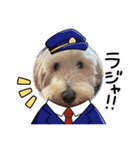 てんちゃんスタ2（個別スタンプ：15）