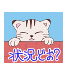 一年中使えるカワイイねこスタンプ（個別スタンプ：17）