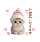 スコティッシュ猫 かわいいサンタ帽 敬語（個別スタンプ：6）