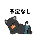 黒猫の笑顔（個別スタンプ：1）