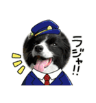 まるくすだわん（個別スタンプ：7）