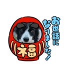 まるくすだわん（個別スタンプ：20）