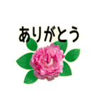 大きめ文字の花スタンプ（個別スタンプ：2）