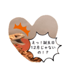 12月誕生日の人のスタンプ（個別スタンプ：2）