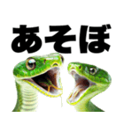 巨大文字☆ヘビの年末年始（個別スタンプ：26）