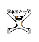 動く！グラサンキャット＠お正月/年末年始1（個別スタンプ：11）