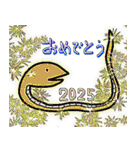 2025お正月（個別スタンプ：1）