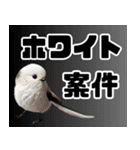 流行語 何個知ってる？2024（個別スタンプ：22）