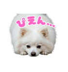 リリィ専用スタンプ（個別スタンプ：4）