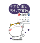 三毛猫の年末年始 すべてをビッグに（個別スタンプ：4）