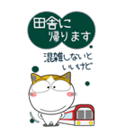 三毛猫の年末年始 すべてをビッグに（個別スタンプ：15）