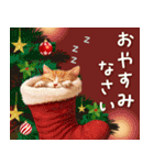 毎年使える大人かわいいクリスマス（個別スタンプ：20）