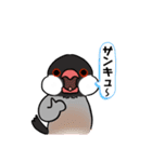 クロシロ文鳥日常（個別スタンプ：9）