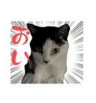 みい子からねえねへ15（個別スタンプ：4）