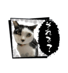 みい子からねえねへ15（個別スタンプ：7）