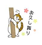 茶トラ猫ちゃん☆年末年始のあいさつ（個別スタンプ：16）