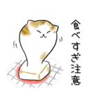 茶トラ猫ちゃん☆年末年始のあいさつ（個別スタンプ：21）