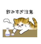 茶トラ猫ちゃん☆年末年始のあいさつ（個別スタンプ：22）