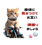 バイク好きネコ♡年末年始 年賀 丁寧挨拶（個別スタンプ：16）