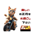 バイク好きネコ♡年末年始 年賀 丁寧挨拶（個別スタンプ：17）