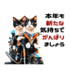 バイク好きネコ♡年末年始 年賀 丁寧挨拶（個別スタンプ：22）