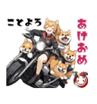 バイク好き柴犬♡年末年始 年賀（個別スタンプ：4）