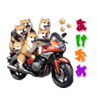 バイク好き柴犬♡年末年始 年賀（個別スタンプ：5）