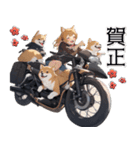 バイク好き柴犬♡年末年始 年賀（個別スタンプ：7）