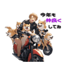 バイク好き柴犬♡年末年始 年賀（個別スタンプ：11）