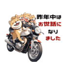 バイク好き柴犬♡年末年始 年賀（個別スタンプ：13）