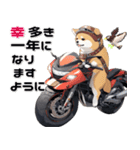 バイク好き柴犬♡年末年始 年賀（個別スタンプ：16）