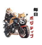 バイク好き柴犬♡年末年始 年賀（個別スタンプ：17）