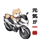 バイク好き柴犬♡年末年始 年賀（個別スタンプ：18）