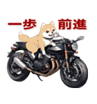 バイク好き柴犬♡年末年始 年賀（個別スタンプ：19）