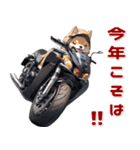 バイク好き柴犬♡年末年始 年賀（個別スタンプ：20）