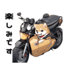 バイク好き柴犬♡年末年始 年賀（個別スタンプ：26）